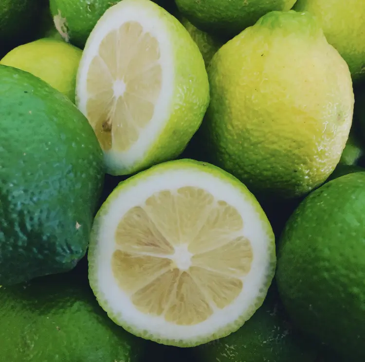 Лимон Верделло / Lemon Verdello — цитрусовое растение, детальное фото
