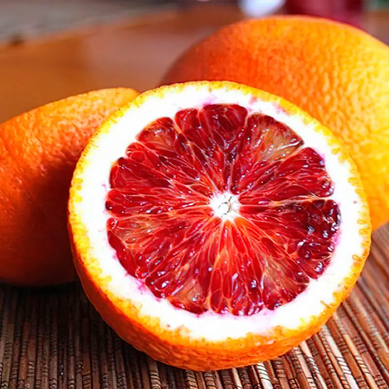 Апельсин Сангвинелло Москато / Orange Sanguinelli Moscato — цитрусовое растение, детальное фото
